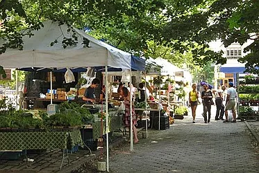 Rented by BLS Realty