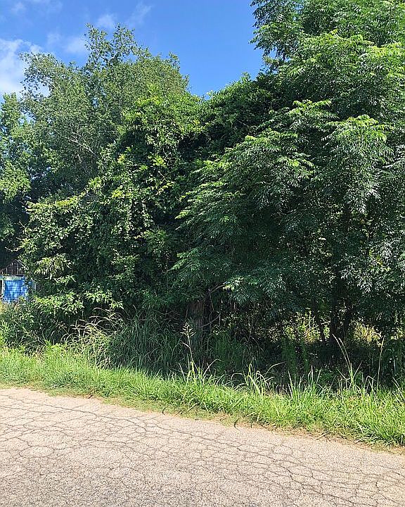 2nd image of 2339 Douglas Rd