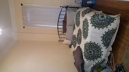 Rented by BLU Real Estate