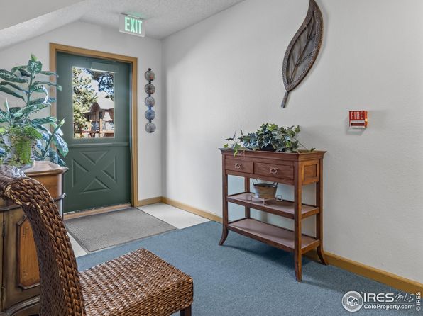 1155 S Saint Vrain Ave UNIT 1-3, Estes Park, CO 80517
