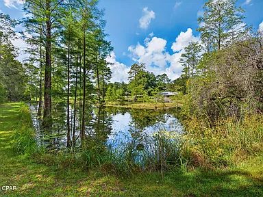 Property photo 47