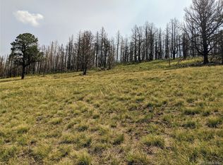 1727 Mara Loop, Fort Garland, CO 81133