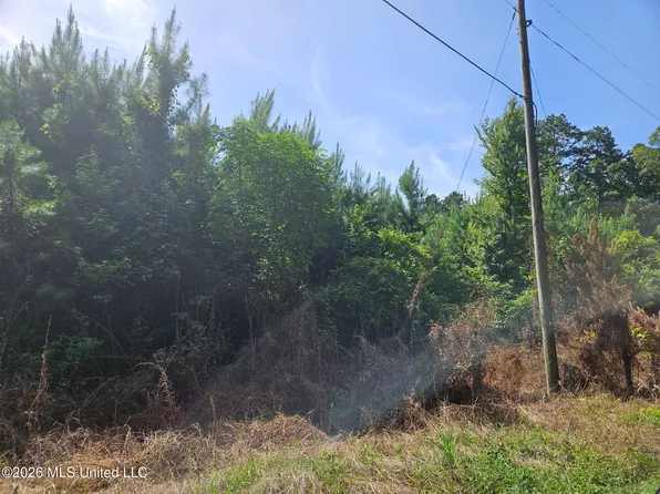 Log Cabin Rd, Roxie, MS 39661