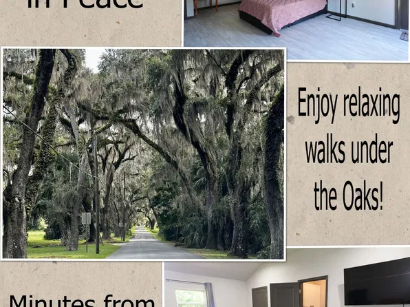 39201 Meyers Rd, Lady Lake, FL 32159