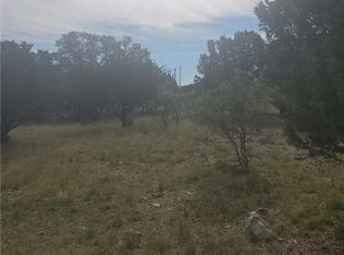 Chameleon, Horseshoe bay, TX 78657