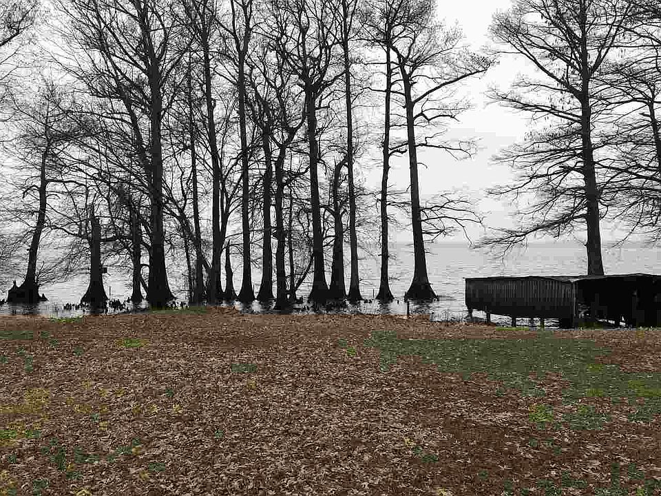 1233 Lake Dr, Hornbeak, TN 38232 Zillow