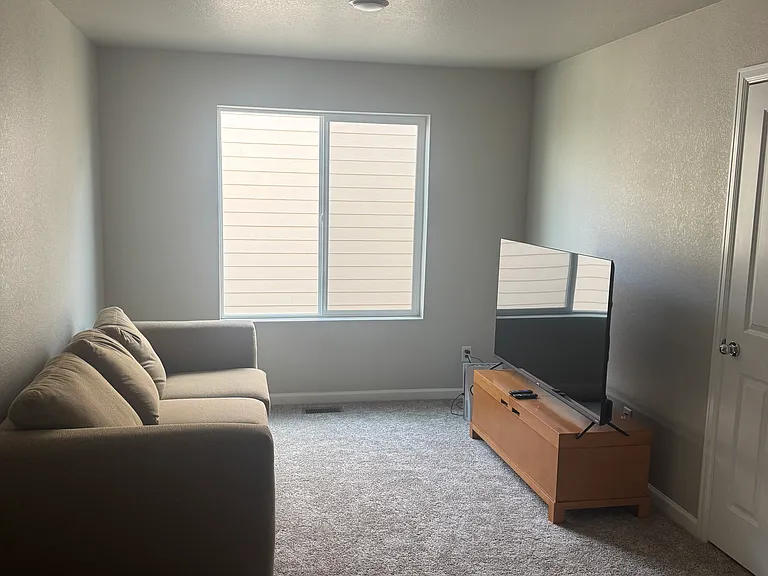 Media room with extra closet space. Can be converted into a desk space. Ideas are welcome.