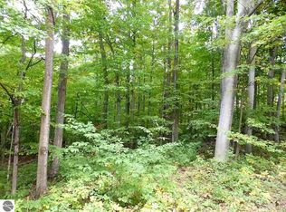 Banktson Rd, Frankfort, MI 49635