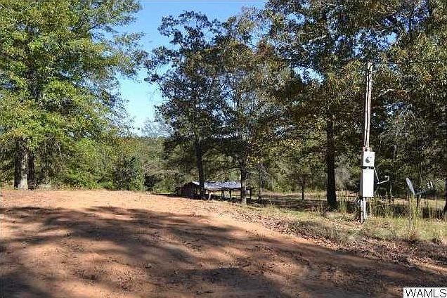 2nd image of 14671 Sawmill Rd