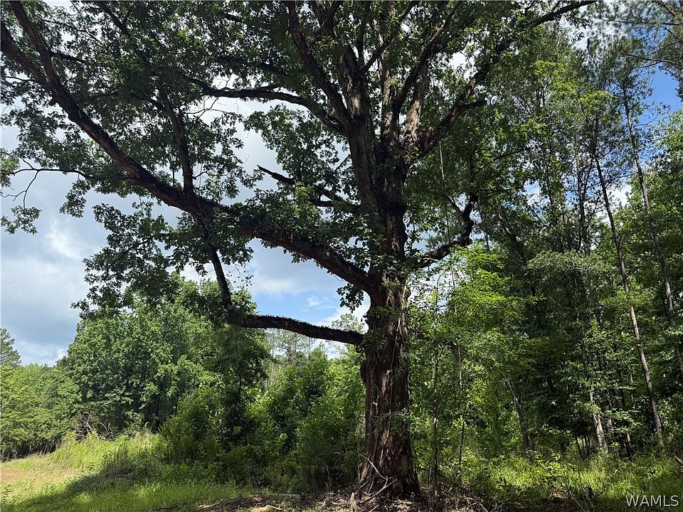 1st image of 2 Samson Clements Loop Rd