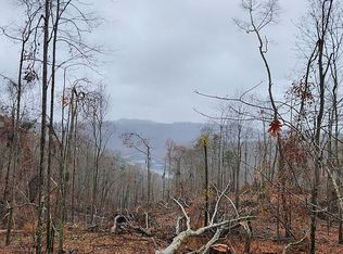 Friendship Holw, Speedwell, TN 37870