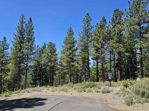 175 S Ridge Rd, Portola, CA 96122