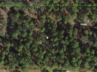 17904 Overstreet Ln, Spring Hill, FL 34610