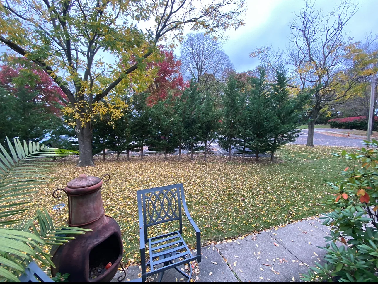 2 bed, 1296 sqft, $3,300 — Photo 2
