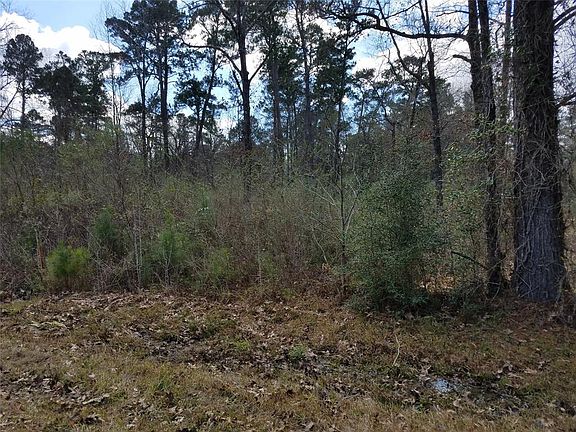 5th image of 202 Gwendolyn Dr