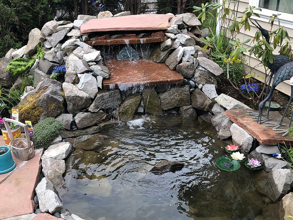 Koi pond with waterfall