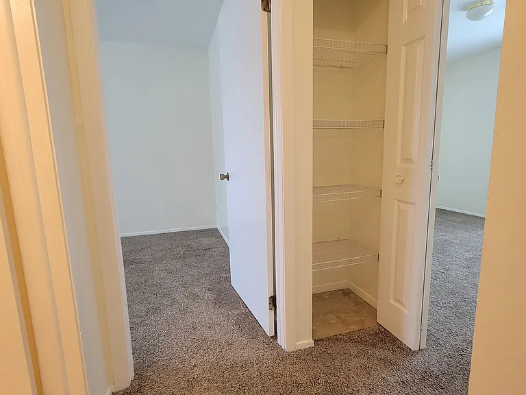 Linen Closet in Hall