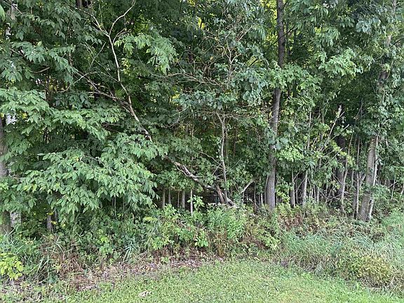 4th image of Lot 12 BURMA ROAD