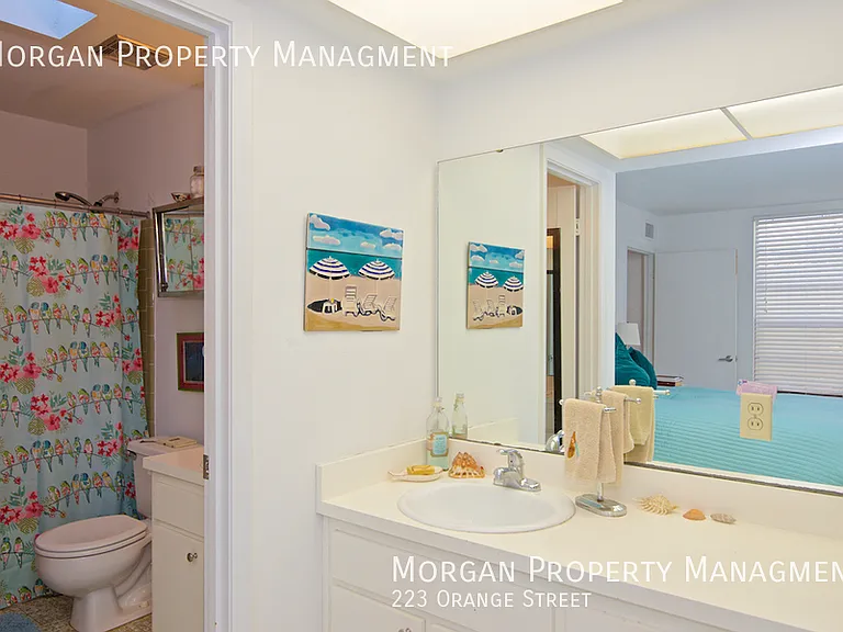 223 Orange St — Photo 12