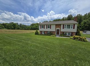 873 Mountain Pass Rd, Blue Ridge, VA 24064