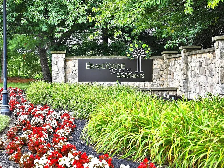 Brandywine Woods Apartment Homes — Photo 32