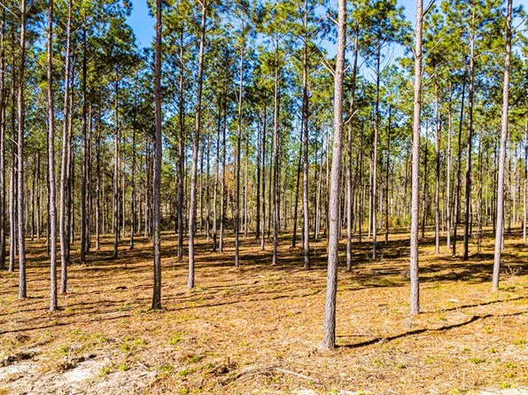 LOT 13 Big Buck Dr, Moscow, TX 75960
