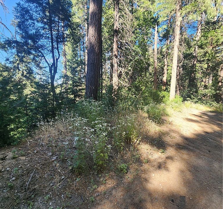 1st image of 0 Forest Dr #18
