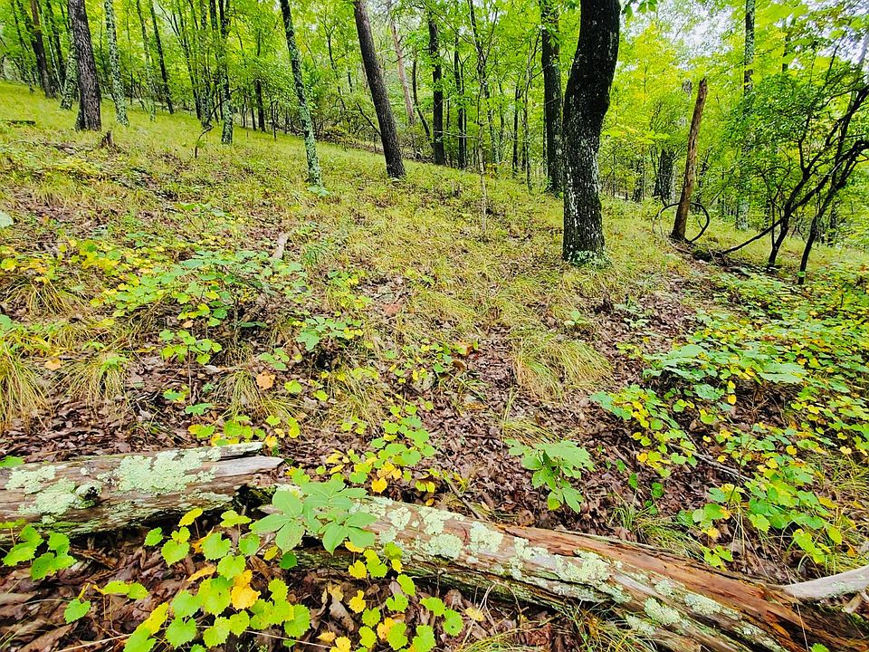 1st image of 0 Poor Valley Rd