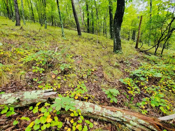 0 Poor Valley Rd, Rutledge, TN 37861