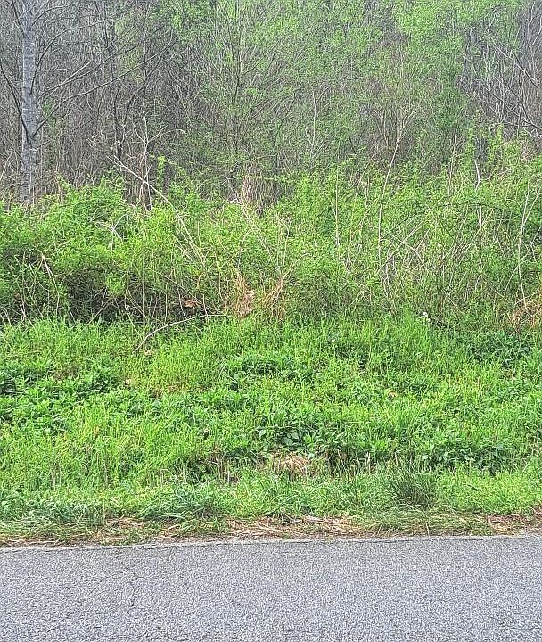 1st image of 0 Napier Rd