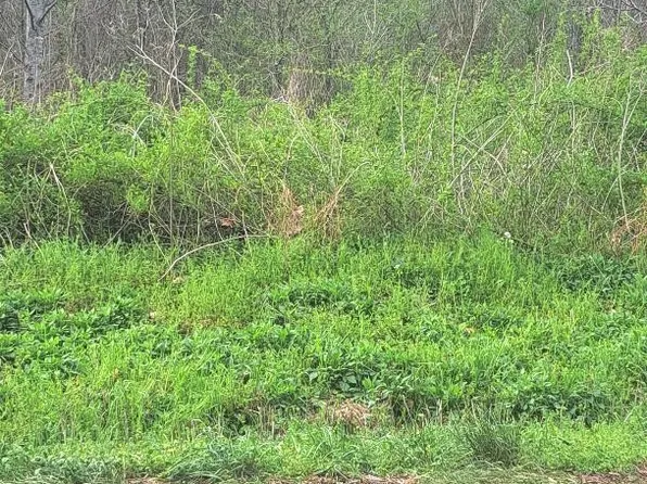 0 Napier Rd, Hohenwald, TN 38462