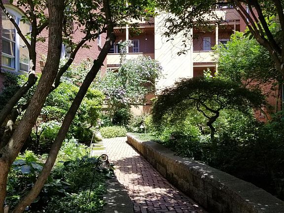 Beautiful garden oasis