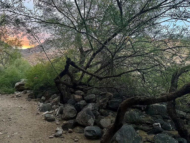 6655 N Canyon Crest Dr #23102 — Photo 5