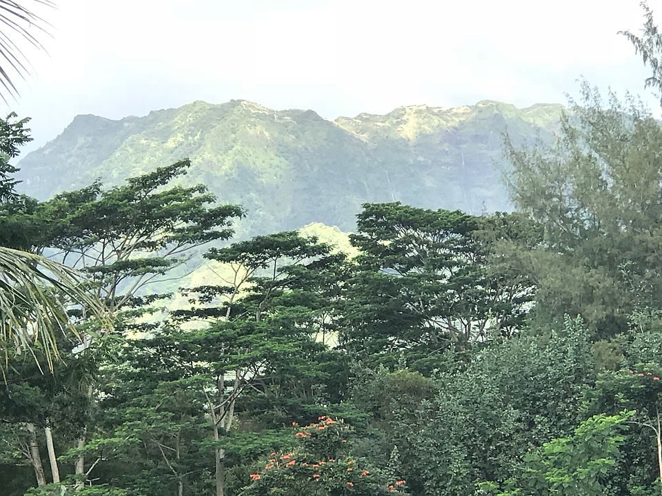 2nd image of 1375 Hono Ohala Pl