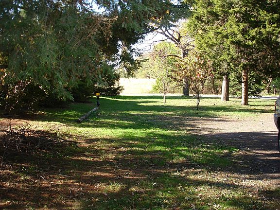 Front yard and parking