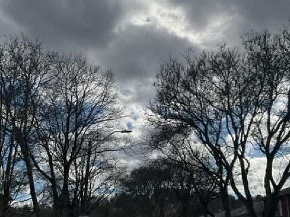 5th image of 207 Lake Shore Rd APT 2