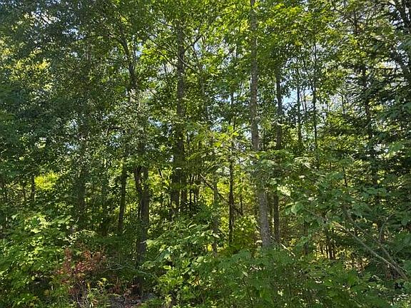 4th image of 9-21 Drake Road