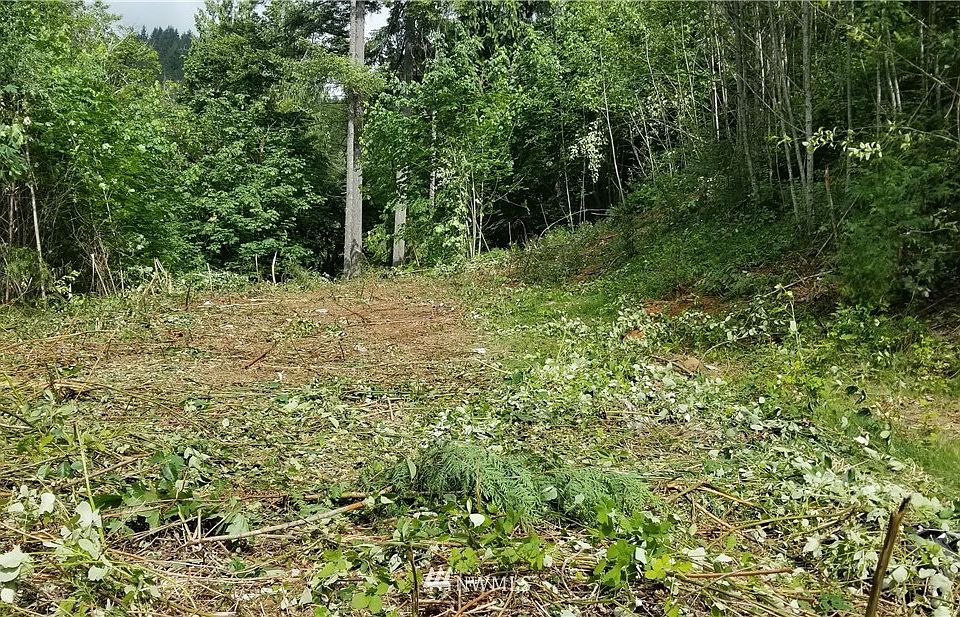 2nd image of 0 Copper Creek