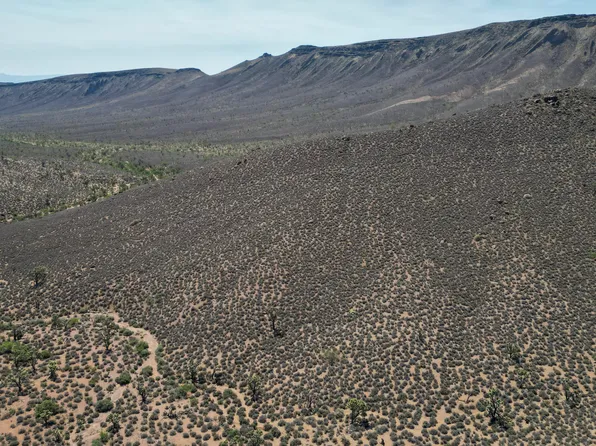 000 W Butcher Camp Road #-, White Hills, AZ 86445