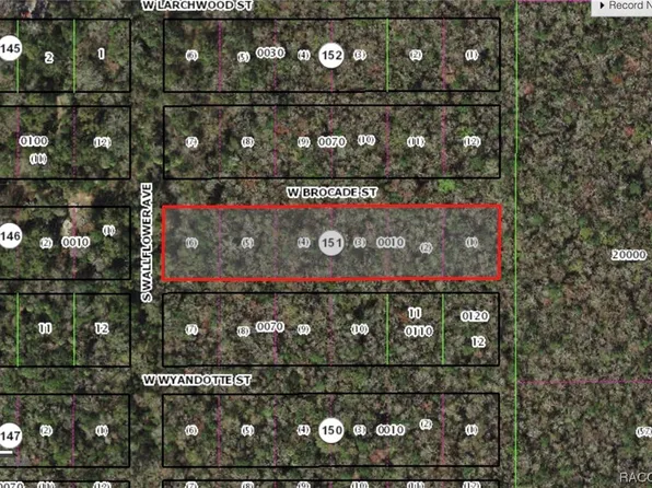 10006 W Brocade St, Homosassa, FL 34448