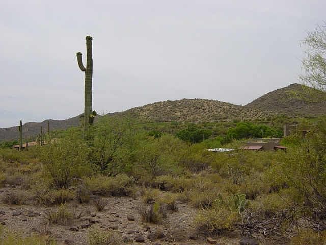 2nd image of 0 E Ocotillo Road #None