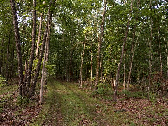 3rd image of Tbd County Rd #14-341