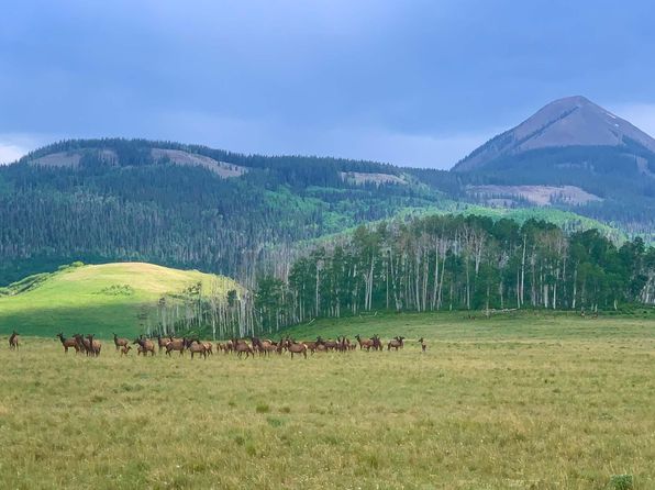 Tbd Fall Creek Rd, Placerville, CO 81430