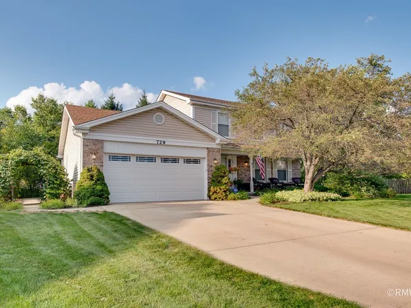 729 Cutters Mill Ct, Schaumburg, IL 60194