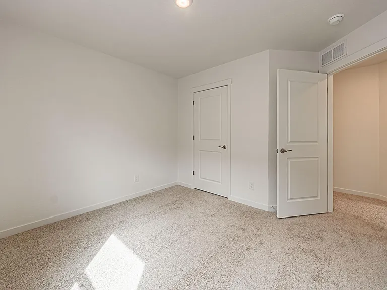 2285 Coyote Mint Dr — Photo 35