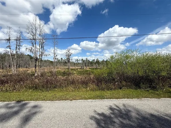 Green Willow Run #7460, Wesley Chapel, FL 33544