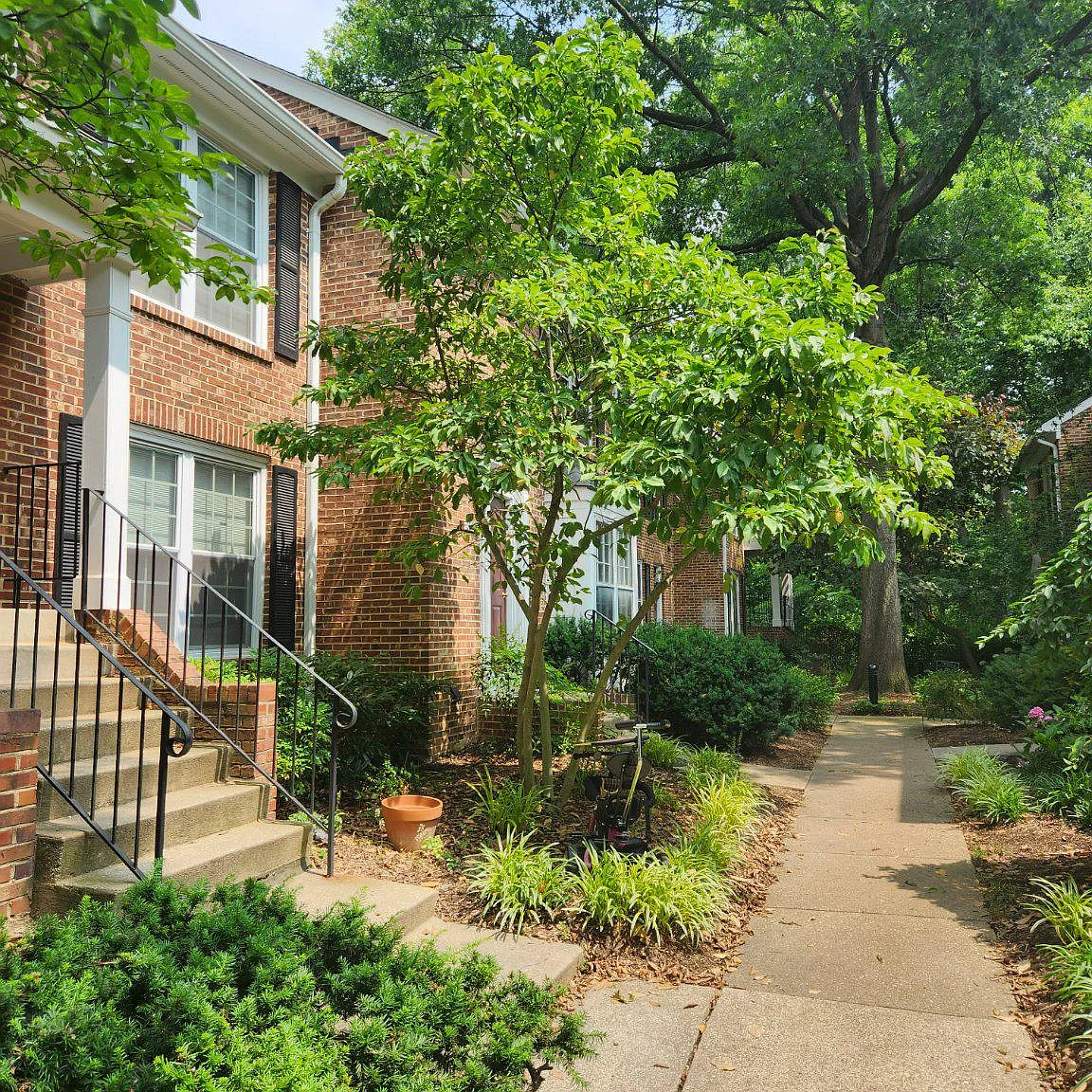 3 bed, 3.5 bath, 1892 sqft, $3,800 — Photo 3