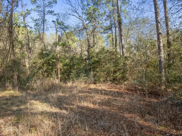 13321 Lueders Ln, Plantersville, TX 77363