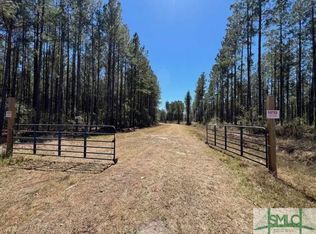 1 Rye Patch NE Road, Ludowici, GA 31316