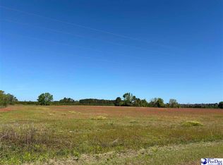 Tbd Hemingway Hwy, Hemingway, SC 29554